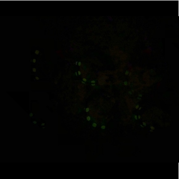 🌻Glow-in-the-dark & UV Light Sensitive Bracelet - Picture 8 of 8